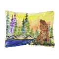 Carolines Treasures SS8509PW1216 American Water Spaniel Decorative Canvas Fabric Pillow, Large, Multicolor
