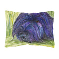 Carolines Treasures SS8520PW1216 Briard Decorative Canvas Fabric Pillow, Large, Multicolor
