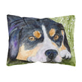 Carolines Treasures SS8596PW1216 Entlebucher Mountain Dog Decorative Canvas Fabric Pillow, Large, Multicolor