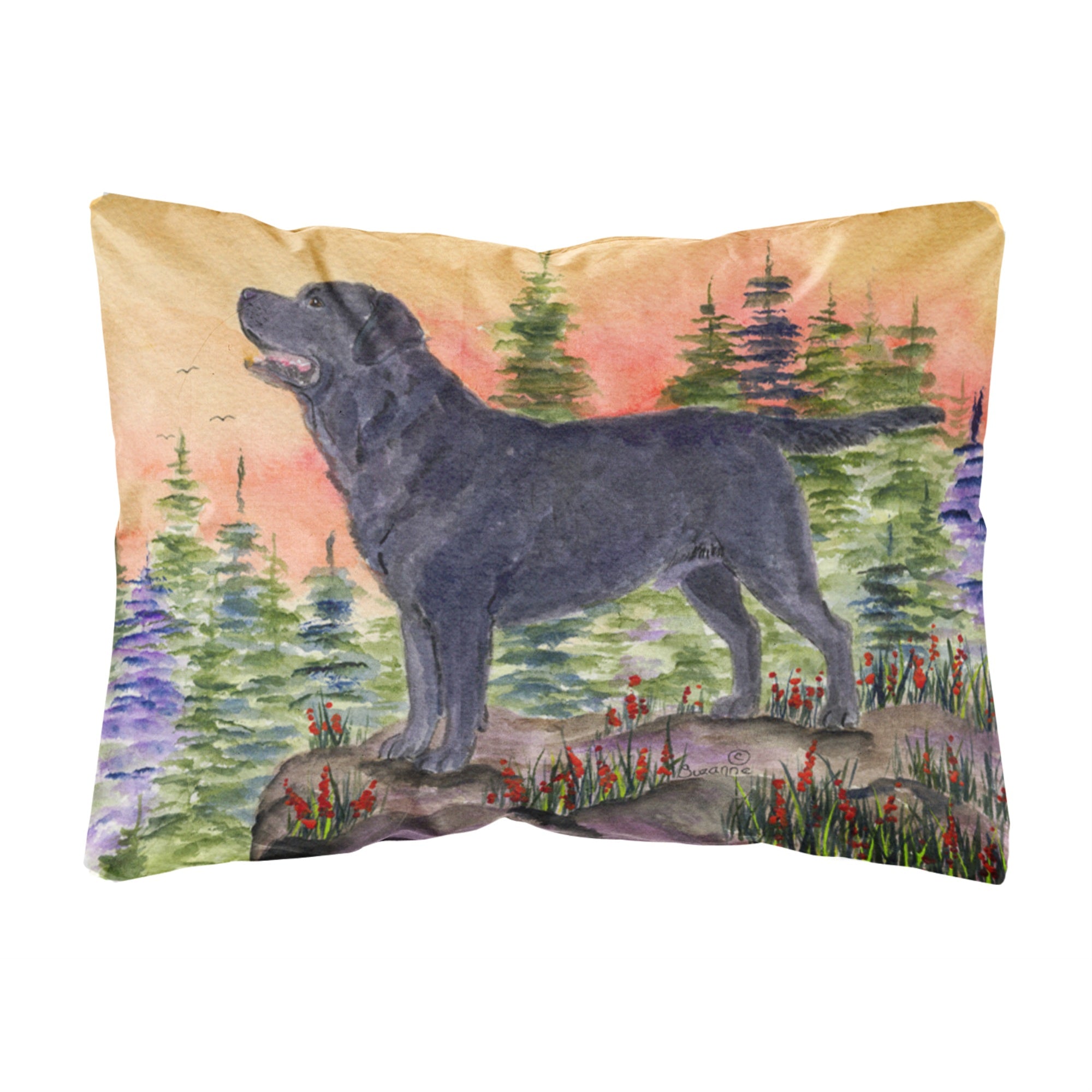 Carolines Treasures SS8624PW1216 Labrador Decorative Canvas Fabric Pillow, Large, Multicolor