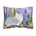 Carolines Treasures SS8636PW1216 Sheltie Decorative Canvas Fabric Pillow, Large, Multicolor