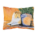 Carolines Treasures SS8667PW1216 Sheltie Decorative Canvas Fabric Pillow, Large, Multicolor