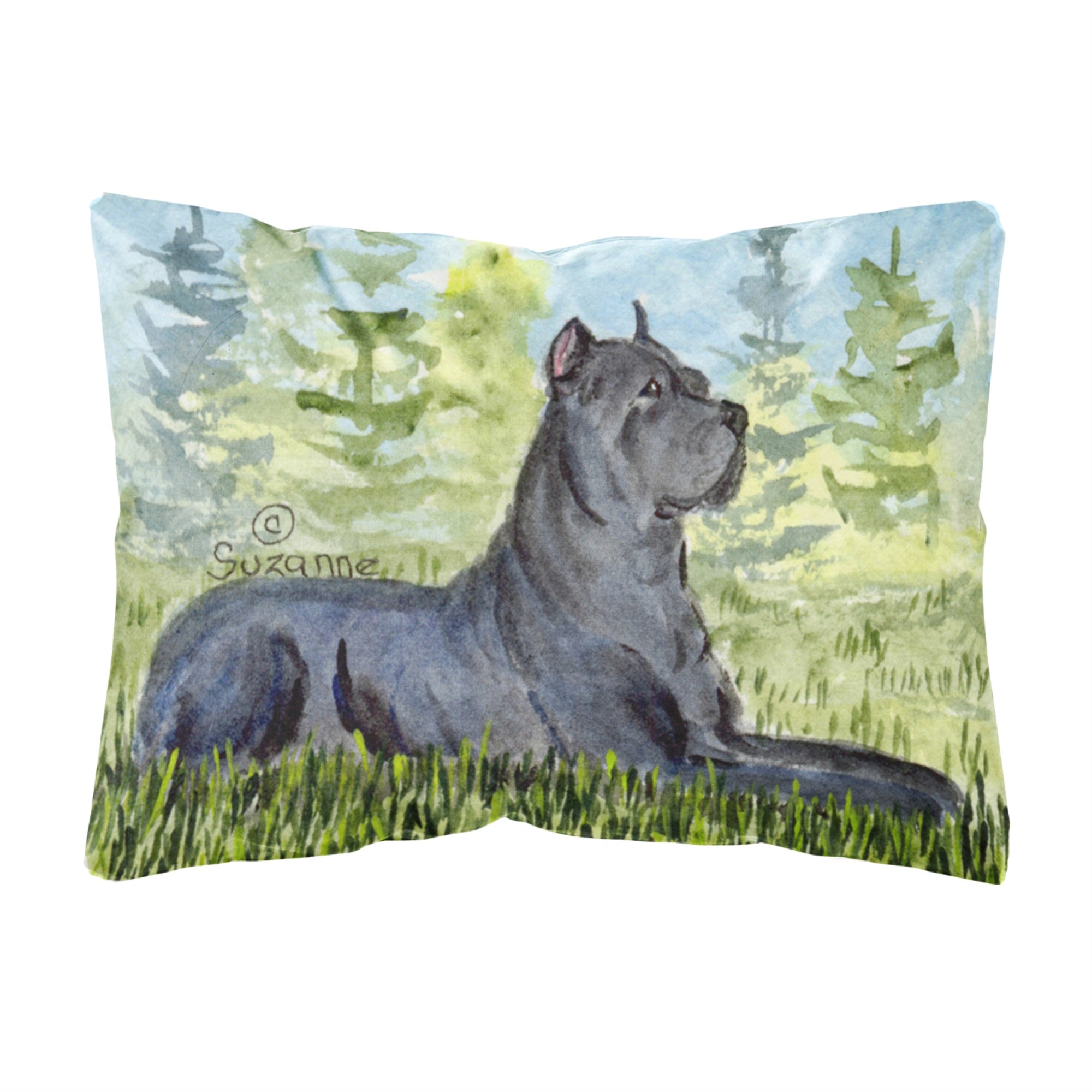 Carolines Treasures SS8682PW1216 Cane Corso Decorative Canvas Fabric Pillow, Large, Multicolor