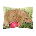 Carolines Treasures SS8684PW1216 Curly Coated Retriever Decorative Canvas Fabric Pillow, Large, Multicolor