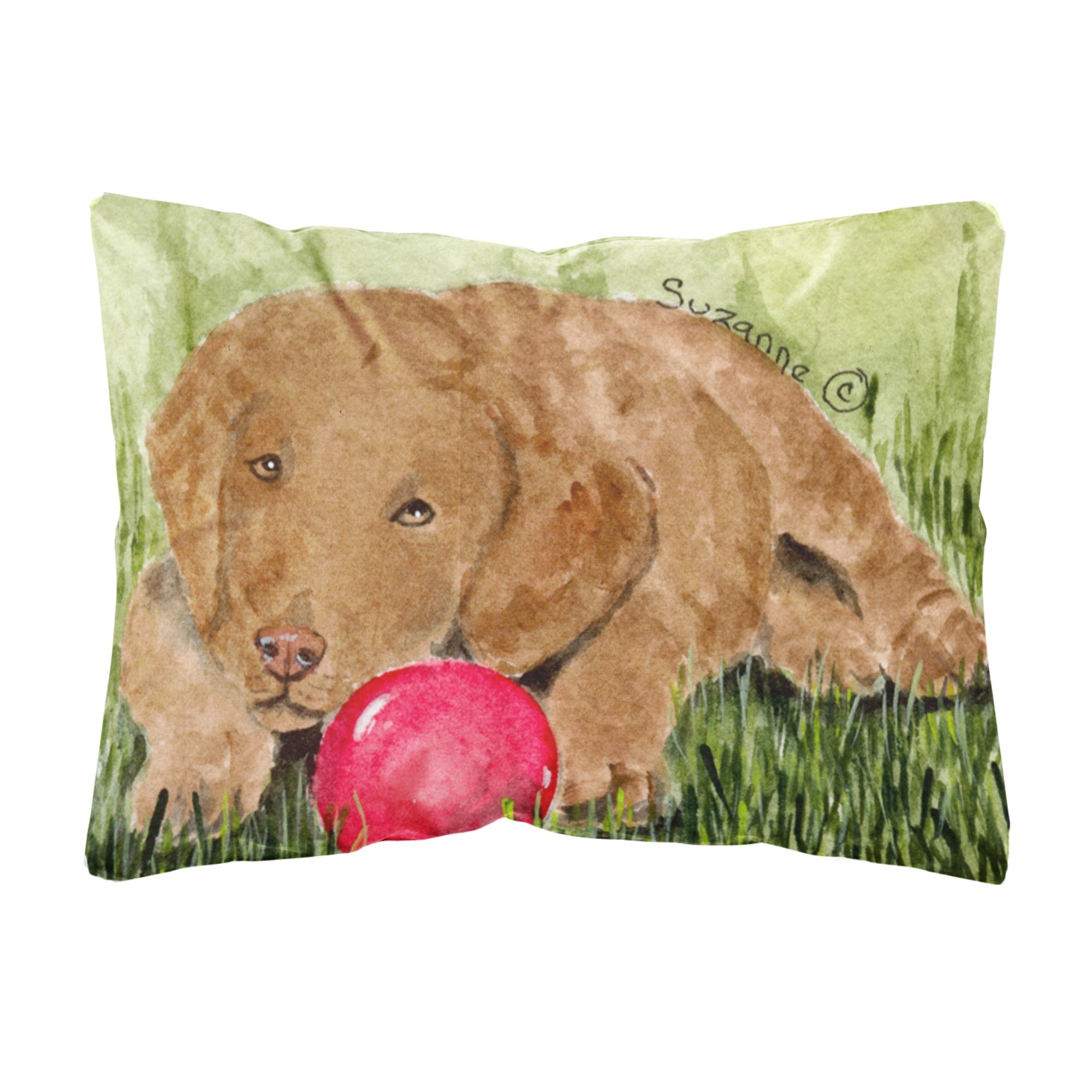 Carolines Treasures SS8684PW1216 Curly Coated Retriever Decorative Canvas Fabric Pillow, Large, Multicolor