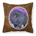 Carolines Treasures SS8686PW1414 Pomeranian Decorative Canvas Fabric Pillow, Large, Multicolor