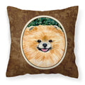 Carolines Treasures SS8725PW1414 Pomeranian Decorative Canvas Fabric Pillow, Large, Multicolor
