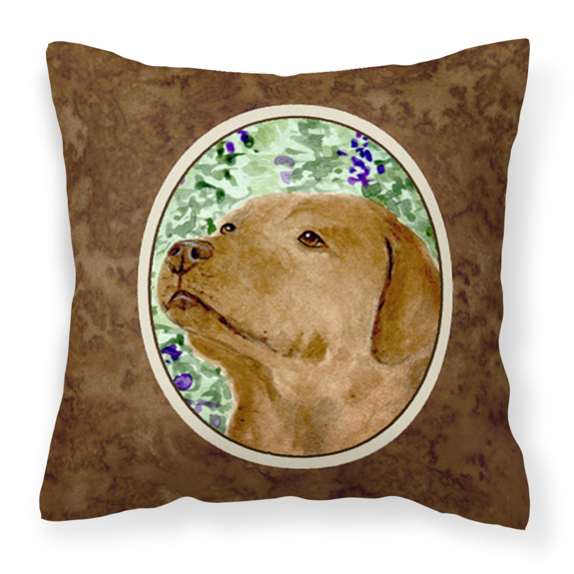 Carolines Treasures SS8743PW1414 Labrador Decorative Canvas Fabric Pillow, Large, Multicolor
