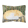Carolines Treasures SS8760PW1216 Golden Retriever Decorative Canvas Fabric Pillow, Large, Multicolor