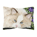 Carolines Treasures SS8825PW1216 Cat Decorative Canvas Fabric Pillow, Large, Multicolor