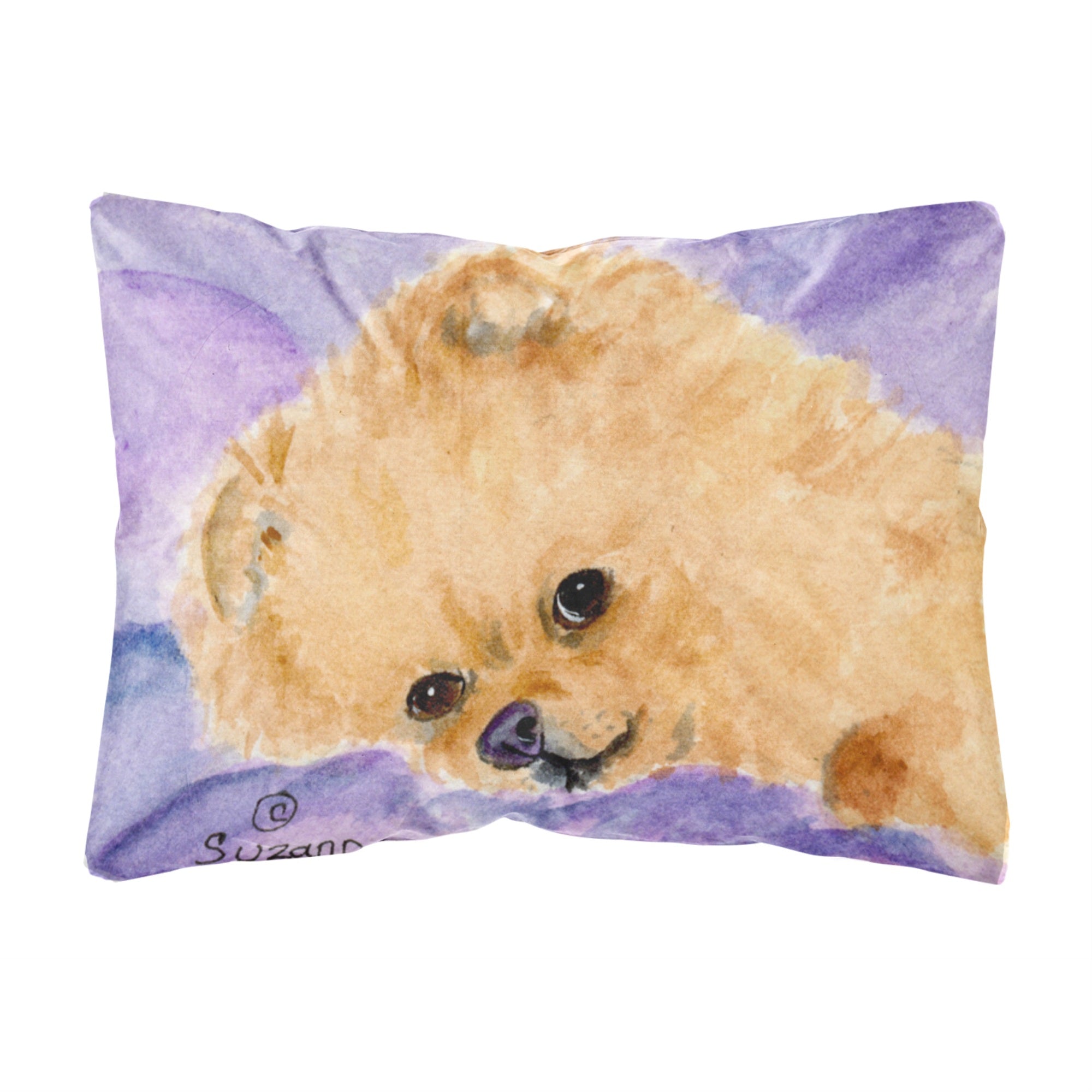 Carolines Treasures SS8834PW1216 Pomeranian Decorative Canvas Fabric Pillow, Large, Multicolor