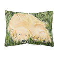 Carolines Treasures SS8838PW1216 Golden Retriever Decorative Canvas Fabric Pillow, Large, Multicolor