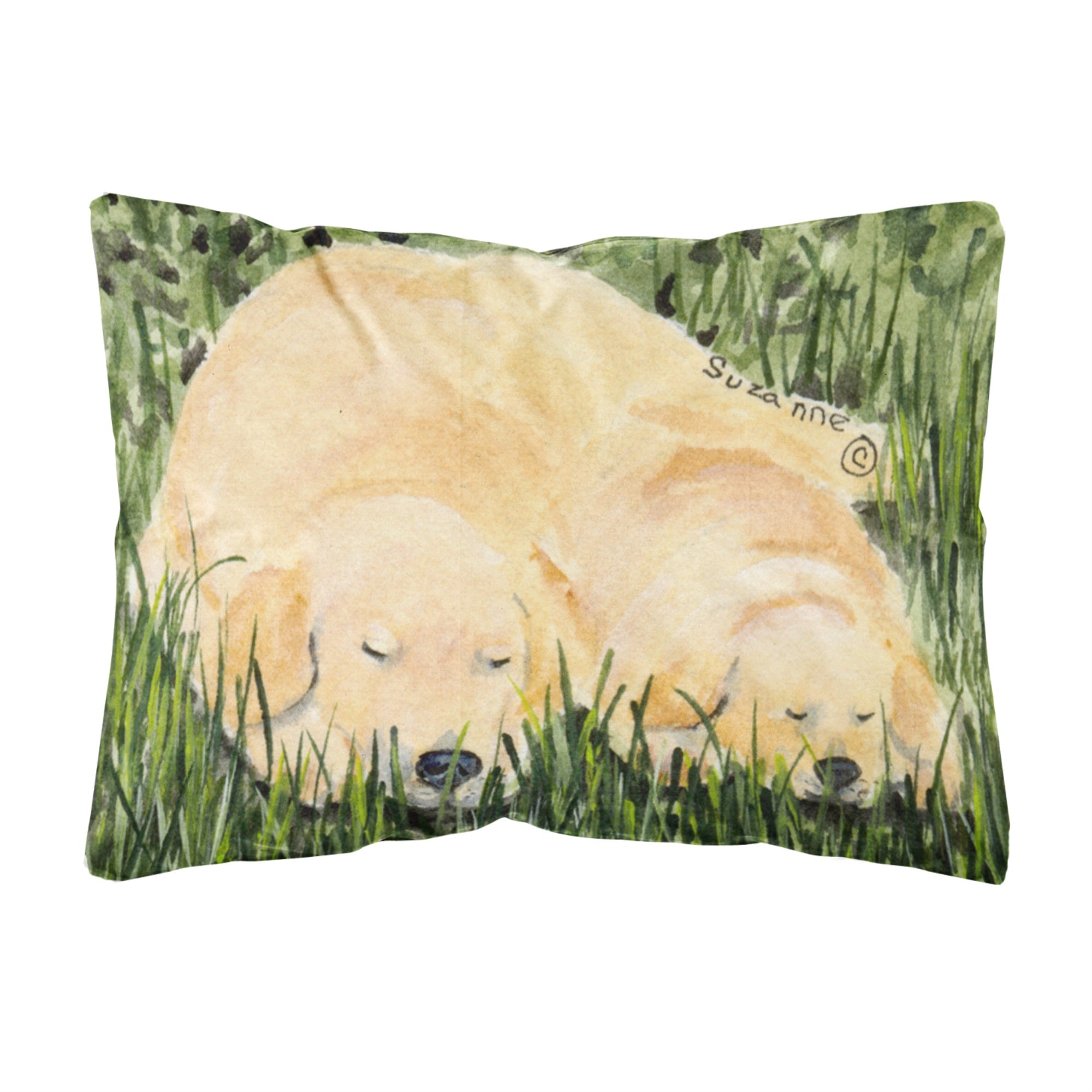 Carolines Treasures SS8838PW1216 Golden Retriever Decorative Canvas Fabric Pillow, Large, Multicolor