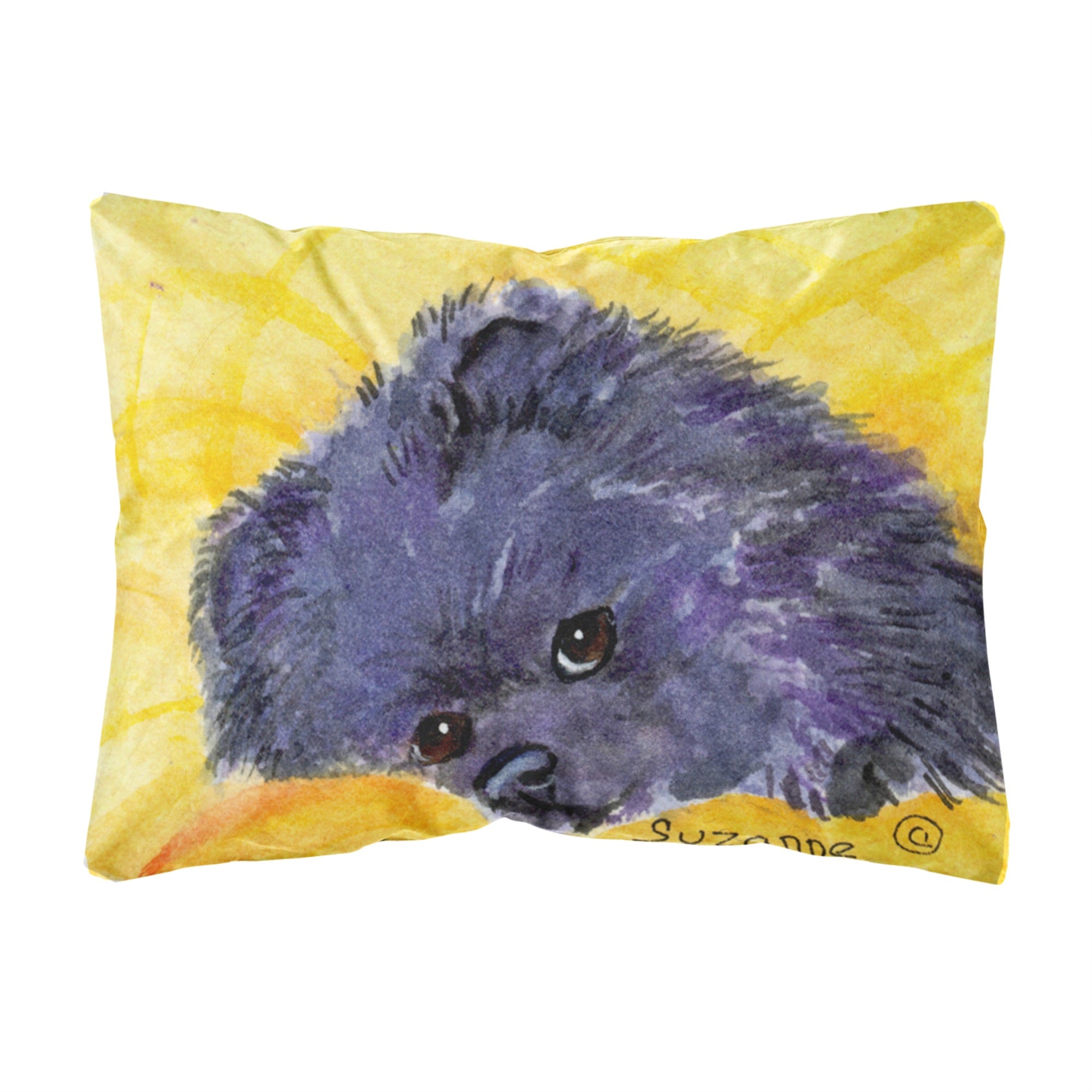 Carolines Treasures SS8839PW1216 Pomeranian Decorative Canvas Fabric Pillow, Large, Multicolor
