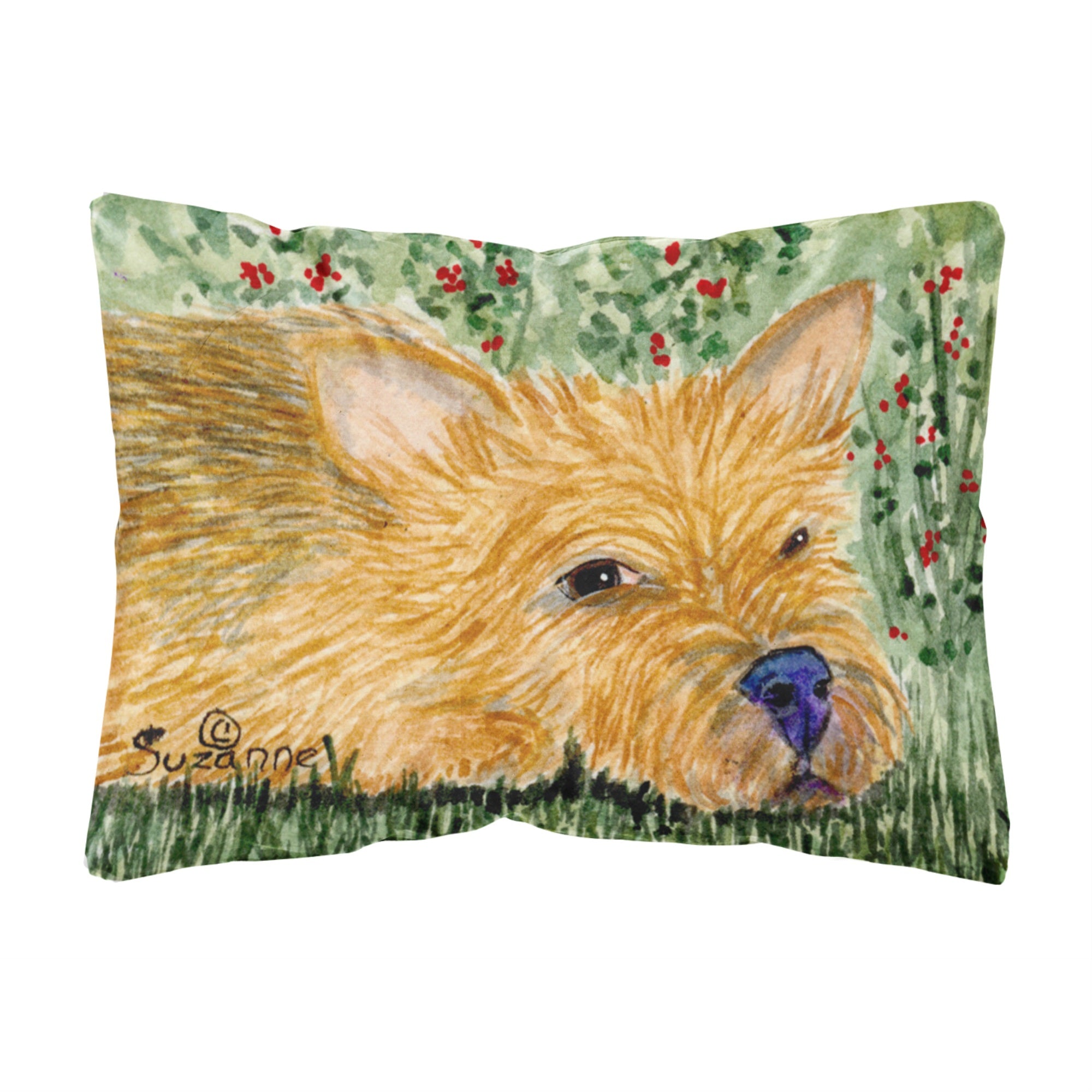 Carolines Treasures SS8862PW1216 Norwich Terrier Decorative Canvas Fabric Pillow, Large, Multicolor