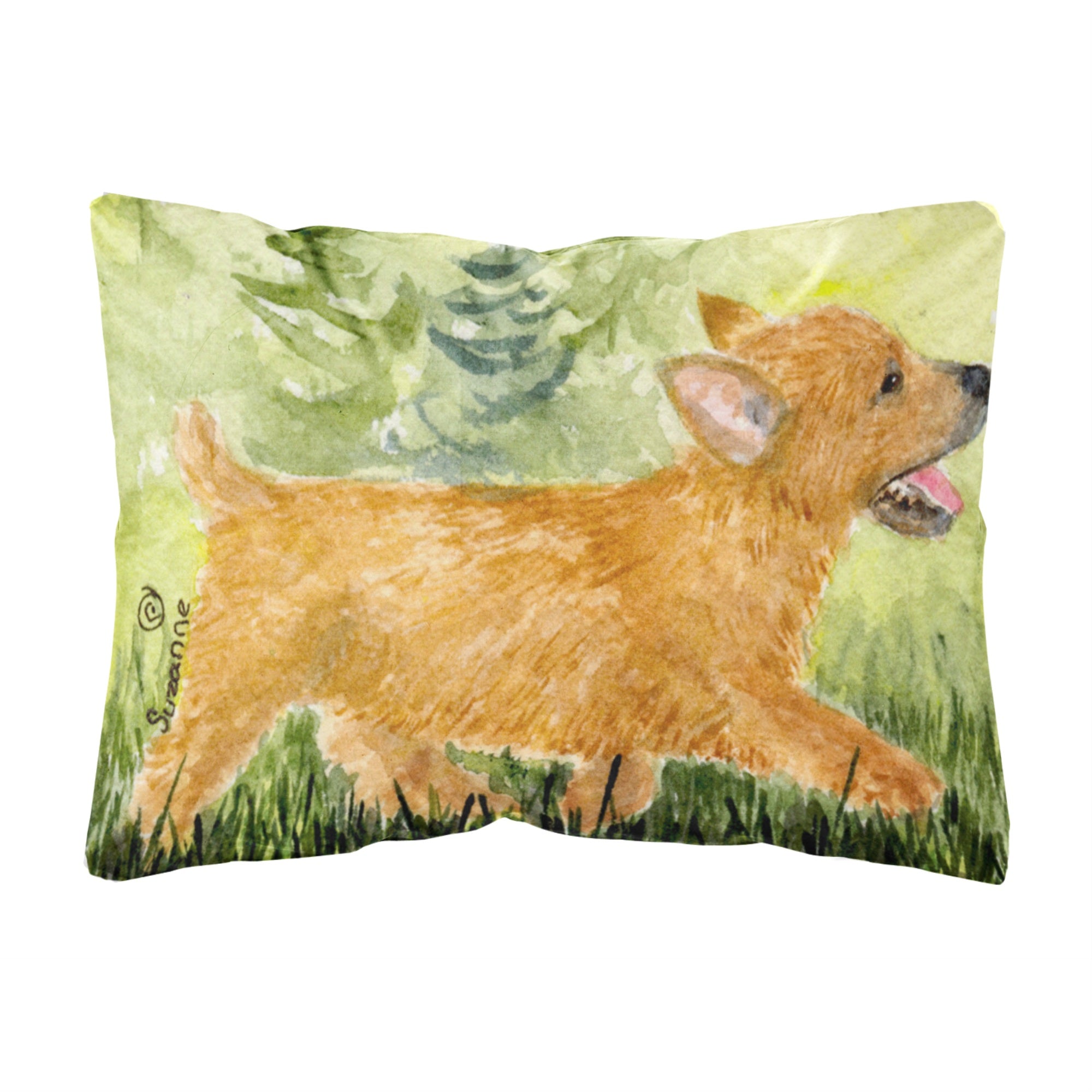 Carolines Treasures SS8884PW1216 Norwich Terrier Decorative Canvas Fabric Pillow, Large, Multicolor