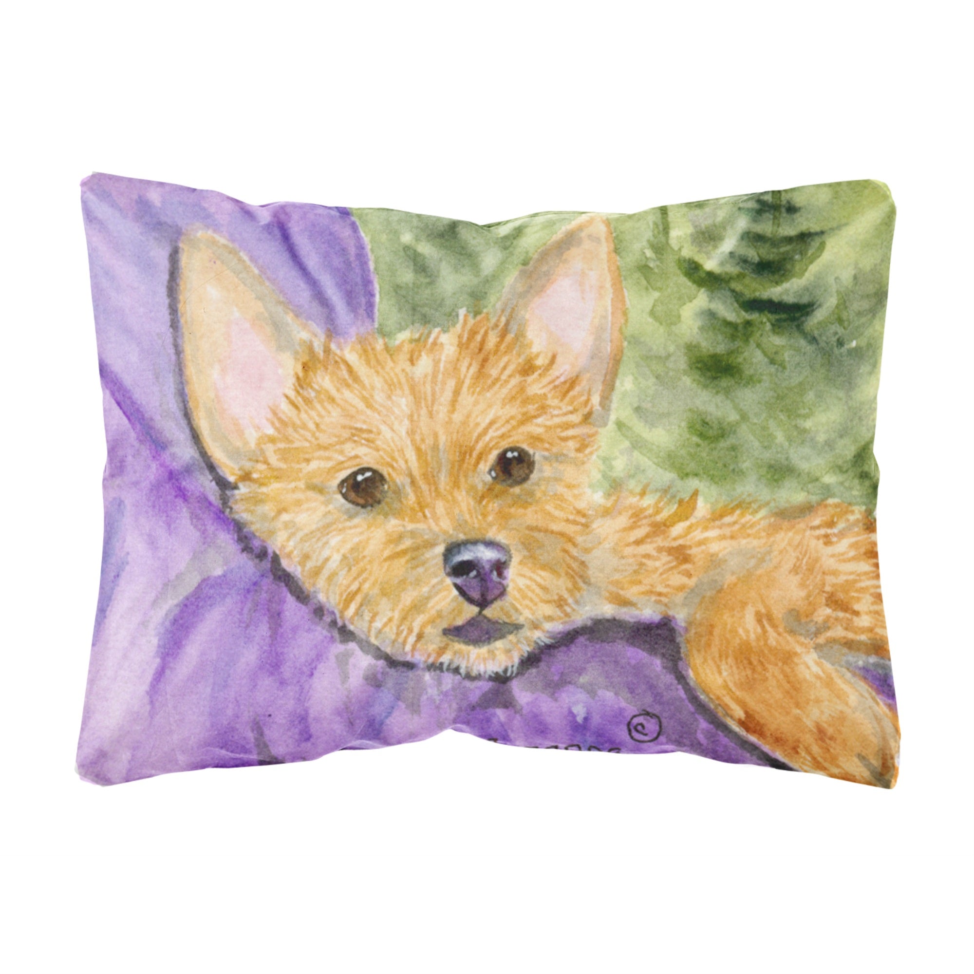 Carolines Treasures SS8898PW1216 Norwich Terrier Decorative Canvas Fabric Pillow, Large, Multicolor