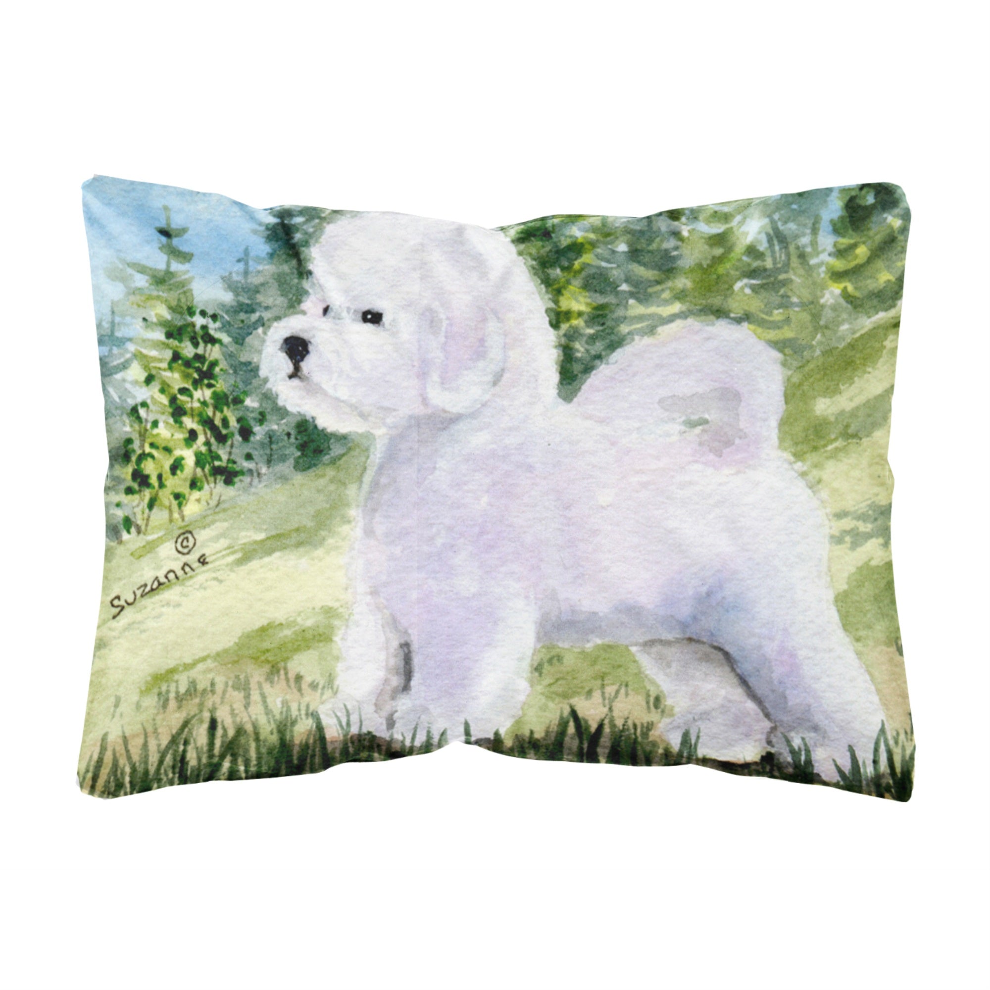 Carolines Treasures SS8900PW1216 Bichon Frise Decorative Canvas Fabric Pillow, Large, Multicolor