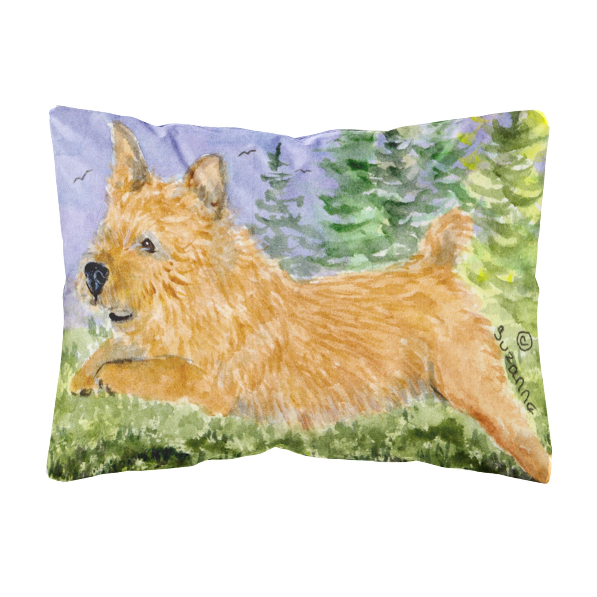 Carolines Treasures SS8910PW1216 Norwich Terrier Decorative Canvas Fabric Pillow, Large, Multicolor