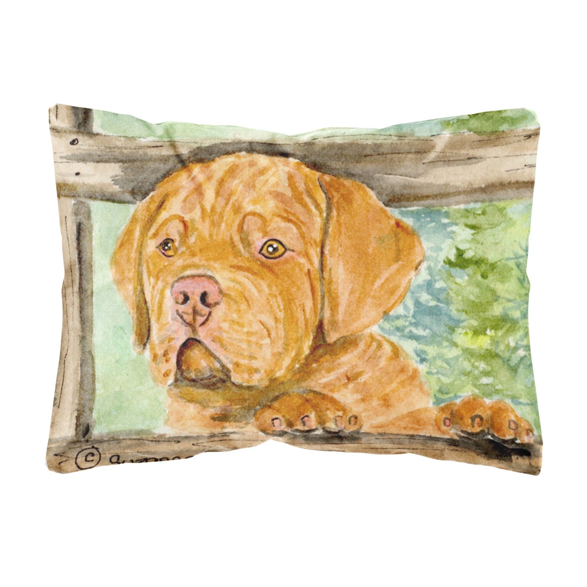 Carolines Treasures SS8926PW1216 Dogue de Bordeaux Decorative Canvas Fabric Pillow, Large, Multicolor