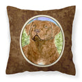 Carolines Treasures SS8933PW1414 Chesapeake Bay Retriever Decorative Canvas Fabric Pillow, Large, Multicolor