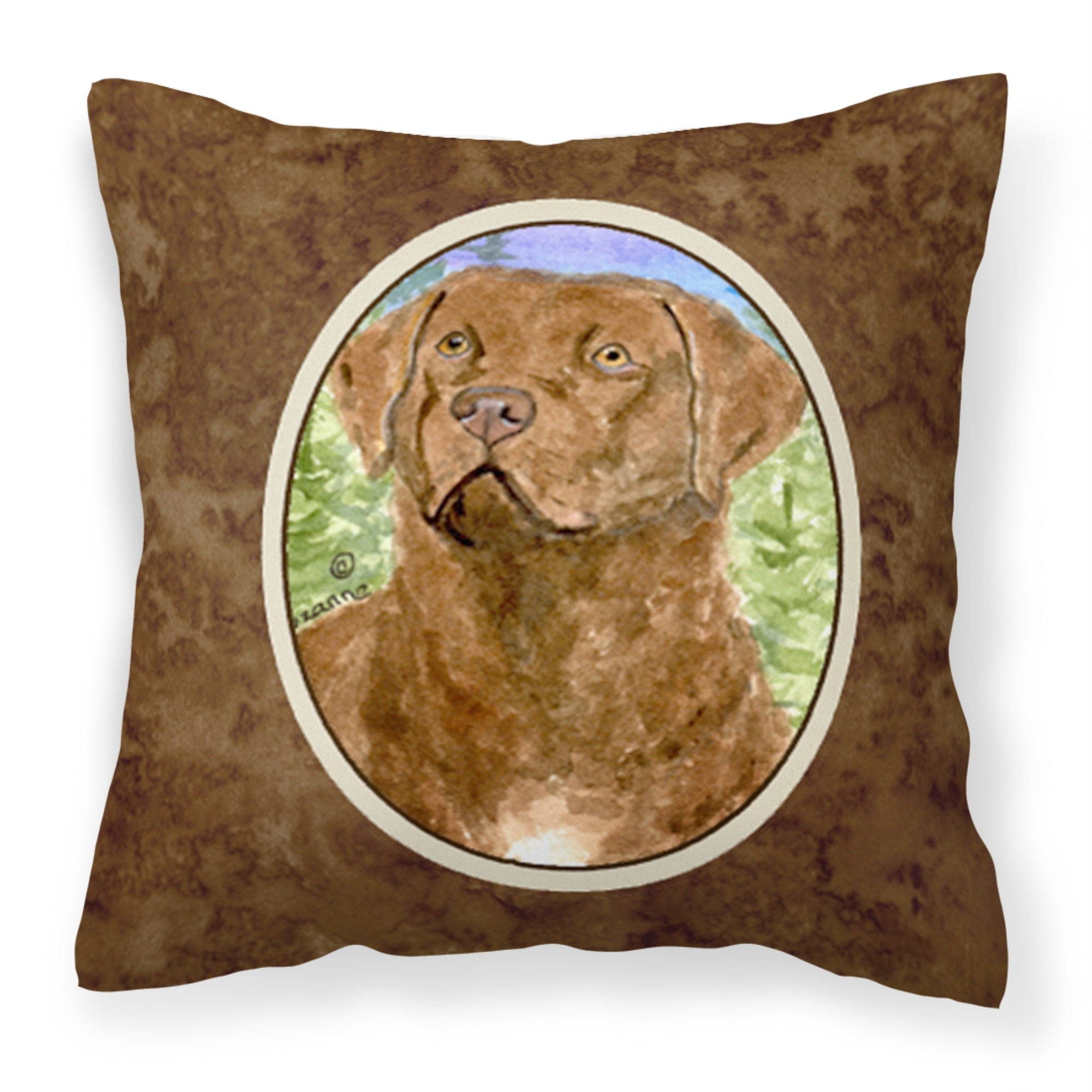 Carolines Treasures SS8933PW1414 Chesapeake Bay Retriever Decorative Canvas Fabric Pillow, Large, Multicolor